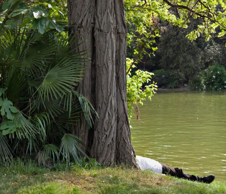 Marseille, parc Borély, série Aller aux Jardins 2010-11, réalisée dans le cadre du programme Images Contemporaines/Patrimoine du CG13