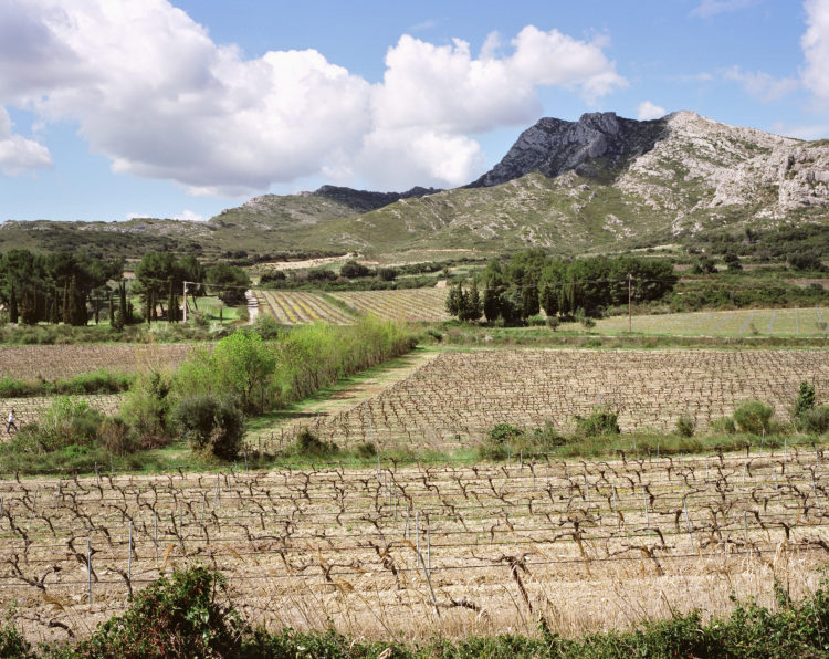 sans titre, PNR des Alpilles