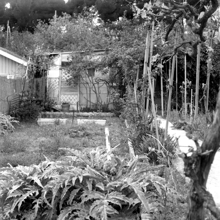 Anne Loubet | Les jardins ouvriers | 1998-1999 | JARDIN DU CASTELLAS AUX  AYGALADES, MARSEILLE, VUES DES PARCELLES INTERIEURES