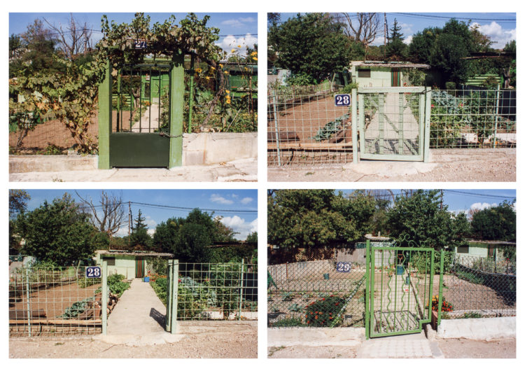 Anne Loubet | Les jardins ouvriers | 1998-1999