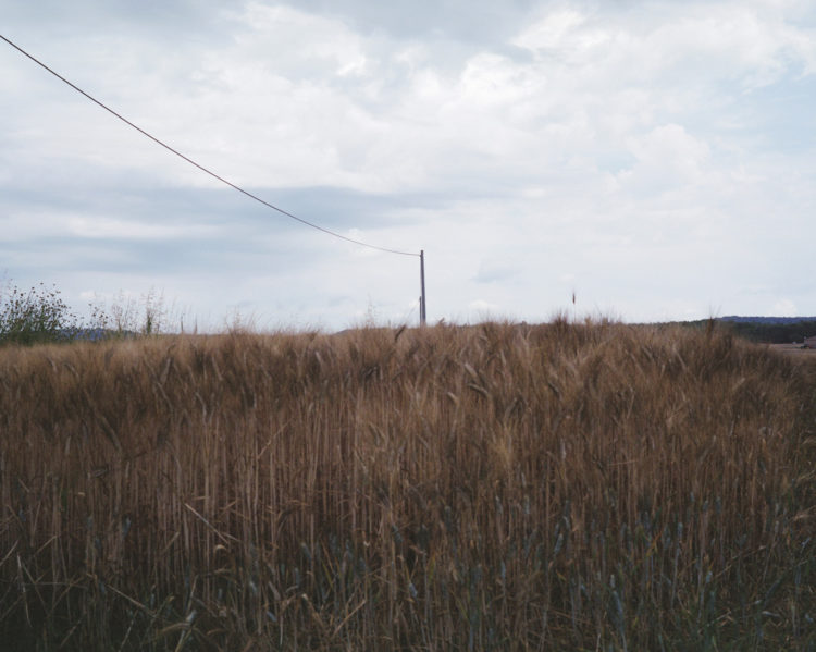 Julien Marchand | From the wasteland | 2015-2019 | ligne, autour de la D30.