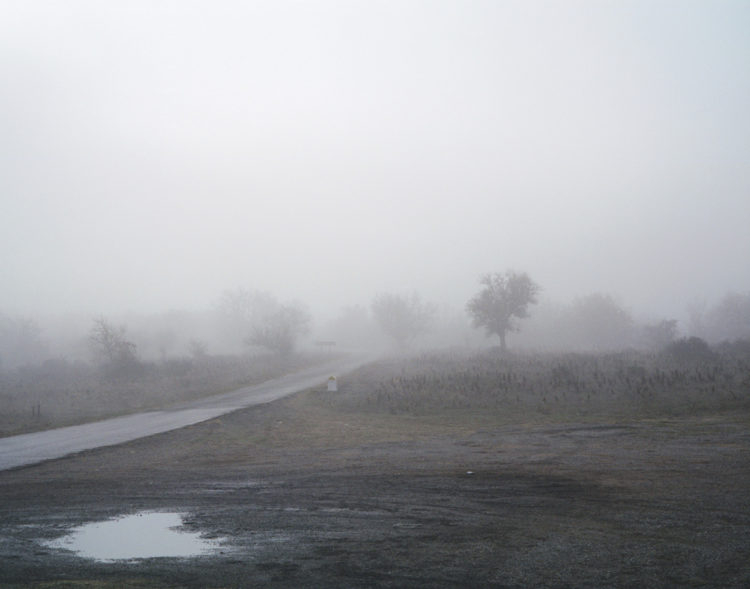 Julien Marchand | From the wasteland | 2015-2019 | brume, D70.