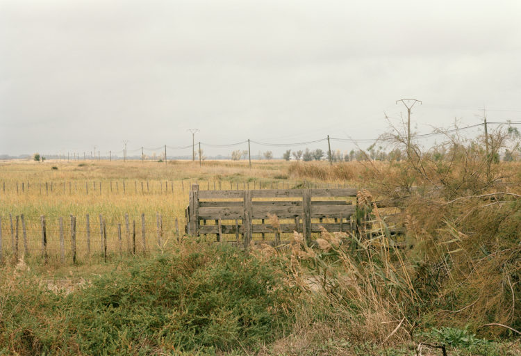 Thibaut Cuisset | Le pays clair, Camargue | 2011-2012 | Palunettes, Arles, 2011