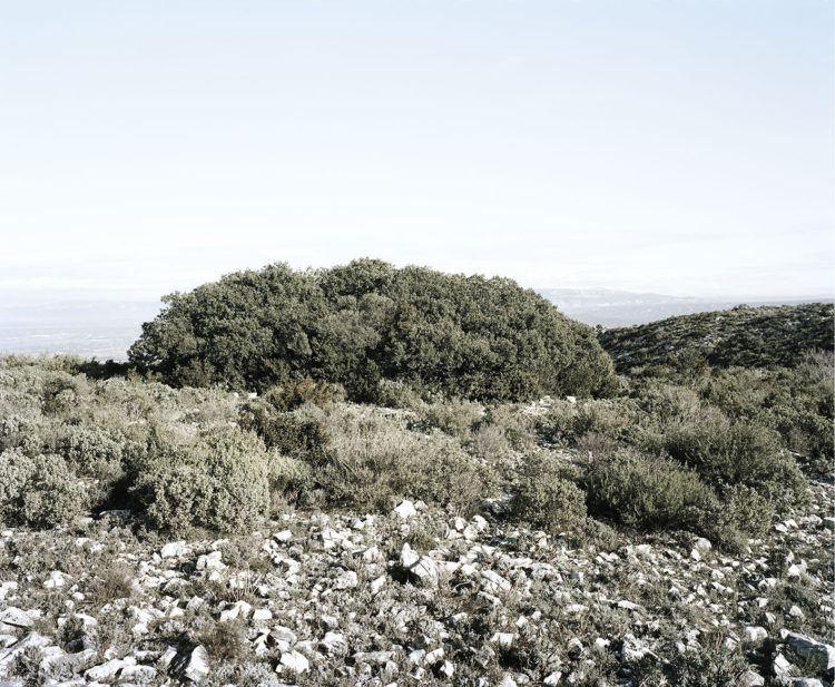 Éric Bourret | Sainte-Victoire, Sainte-Baume, Alpilles, le temps de la marche. | 2011-2013