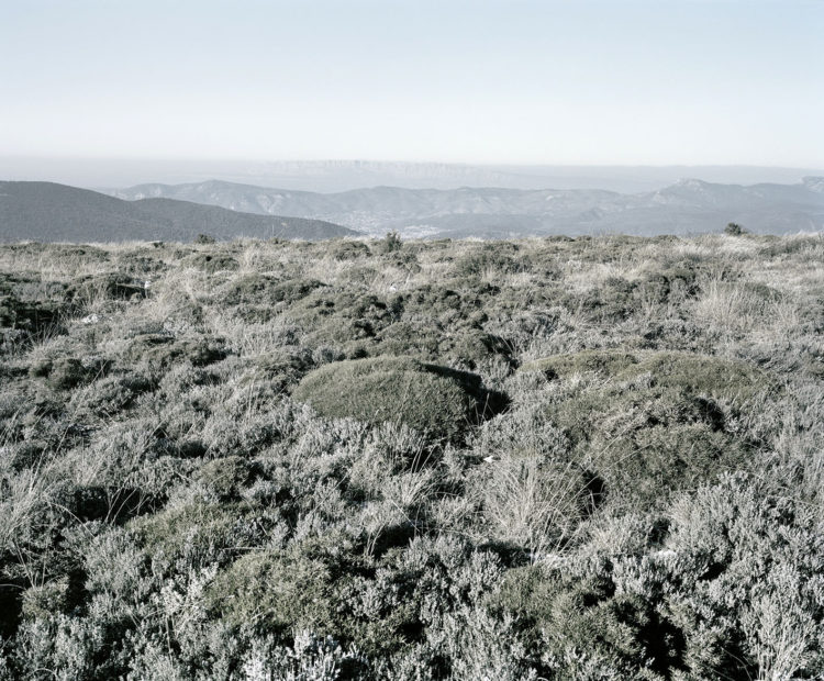 Éric Bourret | Sainte-Victoire, Sainte-Baume, Alpilles, le temps de la marche. | 2011-2013