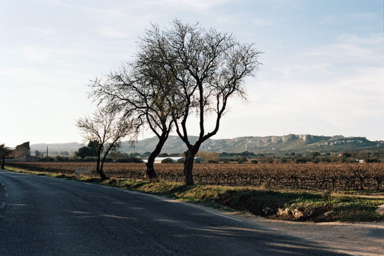 Chaîne de la Fare et vignoble, Lançon-de-Provence, 2013