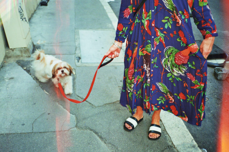 Sam Phelps | Belladone | 2017-2020 | A woman walks a dog at Reformes Marseille, France, 2018.
