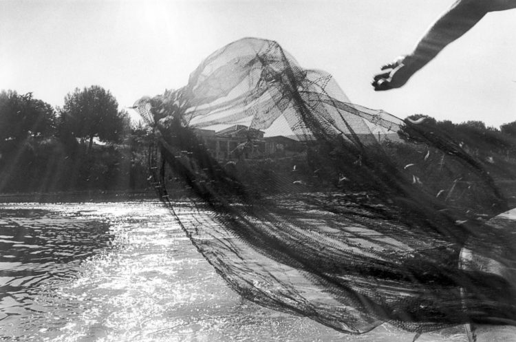 Franck Pourcel | La petite mer des oubliés – Gestes du travail | 1996-2006 | Gestes du travail | Photographie en N/B d'un geste de pêche au bord du rivage