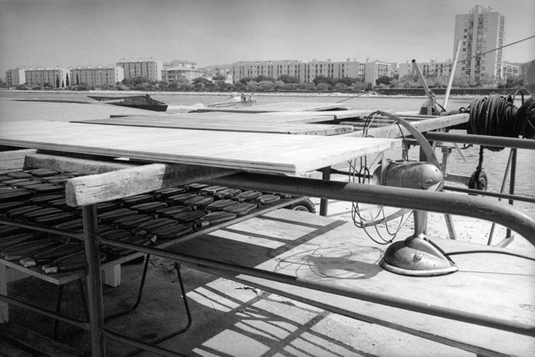 Franck Pourcel | La petite mer des oubliés – Gestes du travail | 1996-2006 | Gestes du travail | Photographie en N/B de la poutargue qui sèche