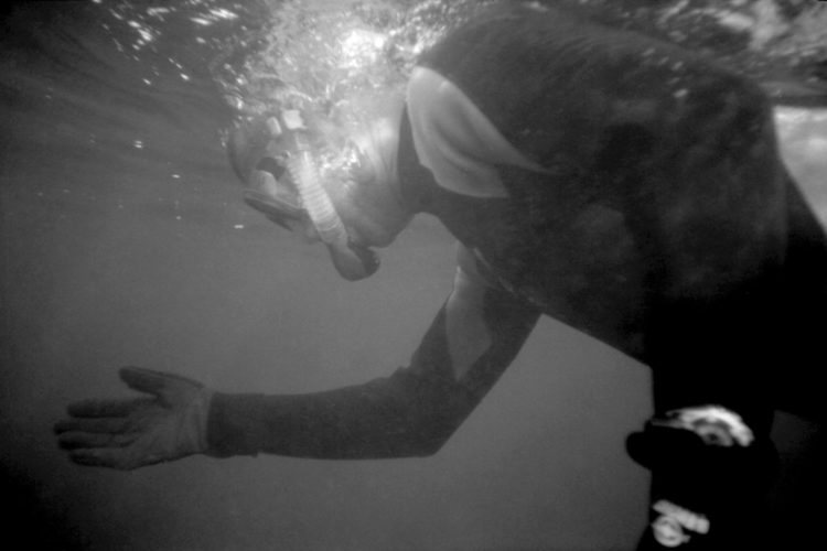 Franck Pourcel | La petite mer des oubliés – Luttes | 1996-2006 | Luttes | Photographie en N/B d'un homme qui plonge pour voir les fonds de l'étang