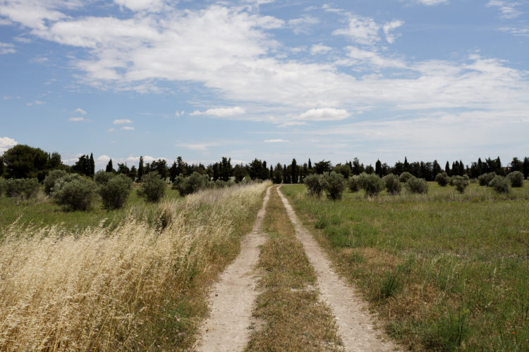 repérage GR2013, des collines de Lançon de Provence à Berre l'étang, paysage rural, agriculture, oppidum Constantin