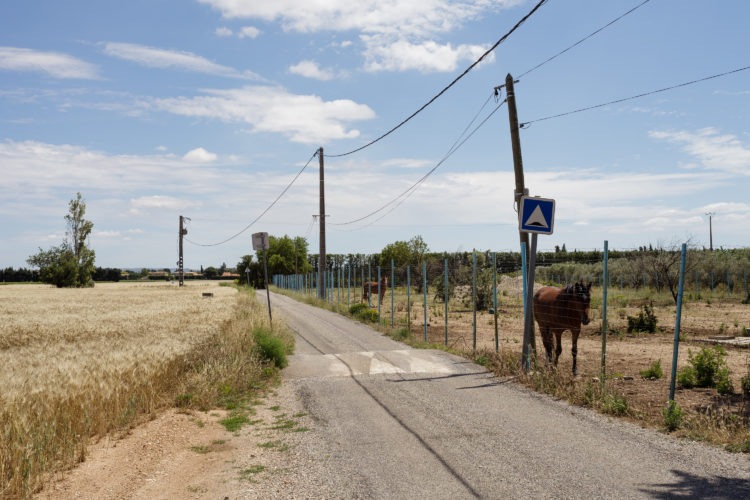 repérage GR2013, des collines de Lançon de Provence à Berre l'étang, paysage rural, agriculture, oppidum Constantin