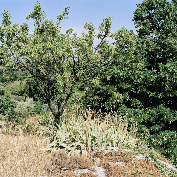 David Giancatarina | Agglopole Provence | 2003