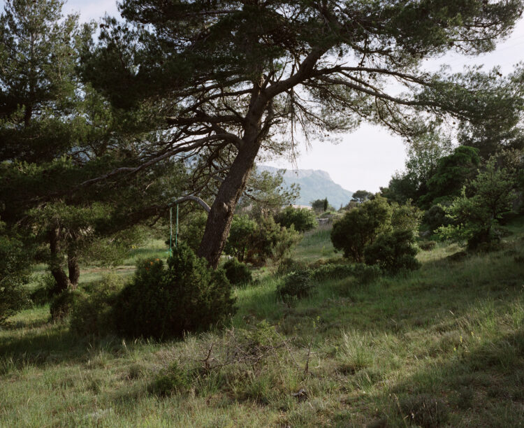 Sylvain Duffard | La forêt habitée, paysages de la Sainte-Baume | 2009-2010
