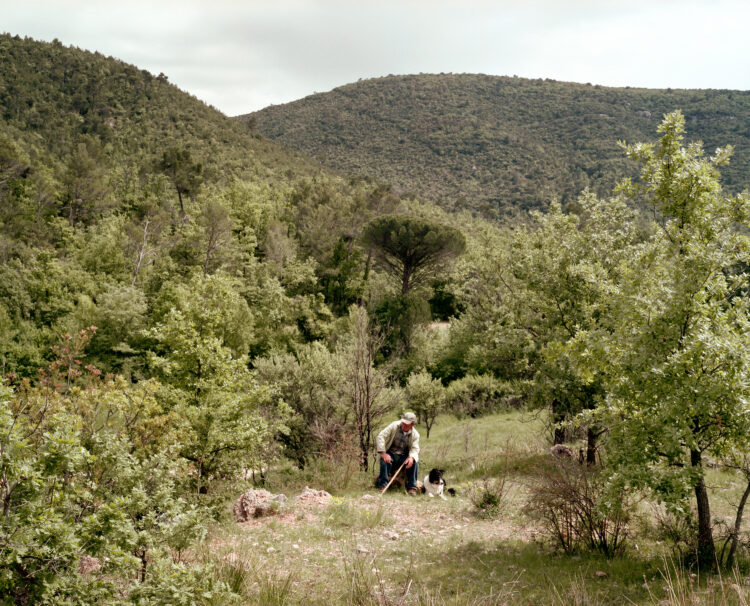 Sylvain Duffard | La forêt habitée, paysages de la Sainte-Baume | 2009-2010