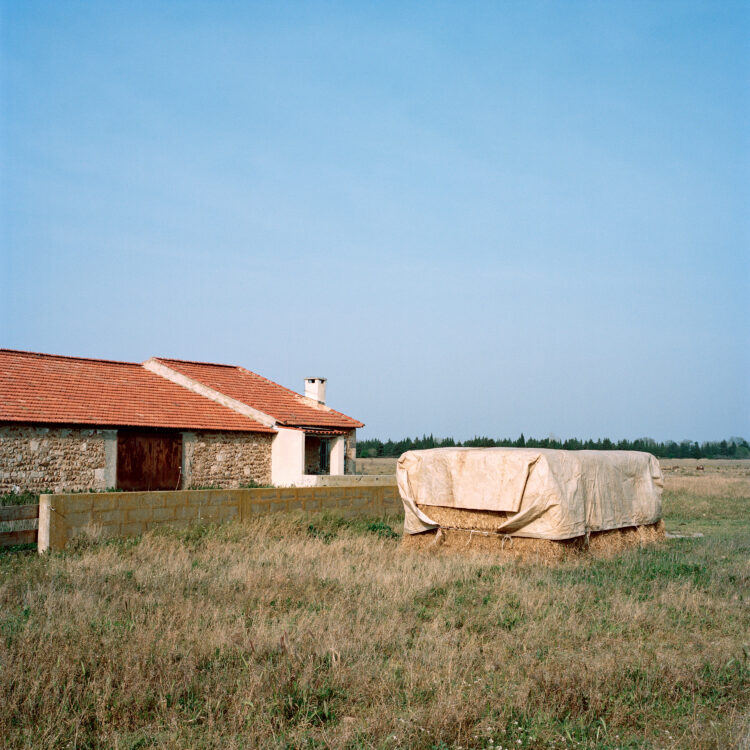 Lucien Ayer | Là où le feu | 2022 | Plaine de la Crau.