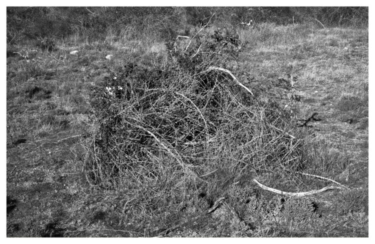 Pablo Rigault-Béligand | Paysage impossible | 2021-2022 | Saint-Martin-de-Crau | Plaine des Coussouls de Crau.
