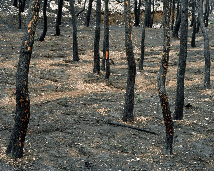 Arnaud Teicher | Wildfire | 2017-2020 | Carry-le-Rouet I Incendie du 15/07/2016, 400 ha