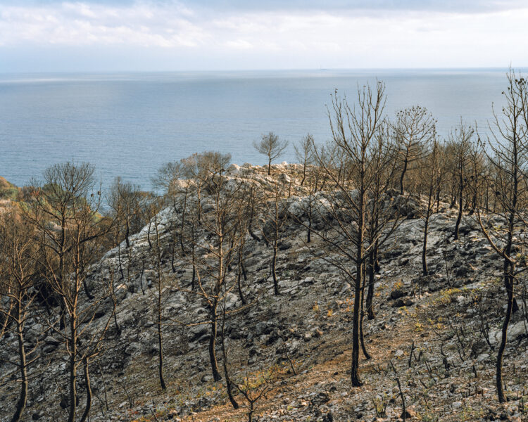 Arnaud Teicher | Wildfire | 2017-2020 | Carry-le-Rouet I Incendie du 15/07/2016, 400 ha