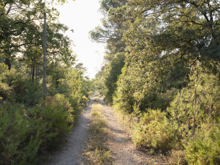 Vincent Beaume | Chemins[perdus?] | 2020 | Saint-Cannat | Latitude - 43.604793, longitude - 5.349727 