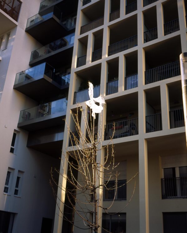 Félix Colardelle | La Caravelle | 2022 | Marseille / Septèmes-les-Vallons